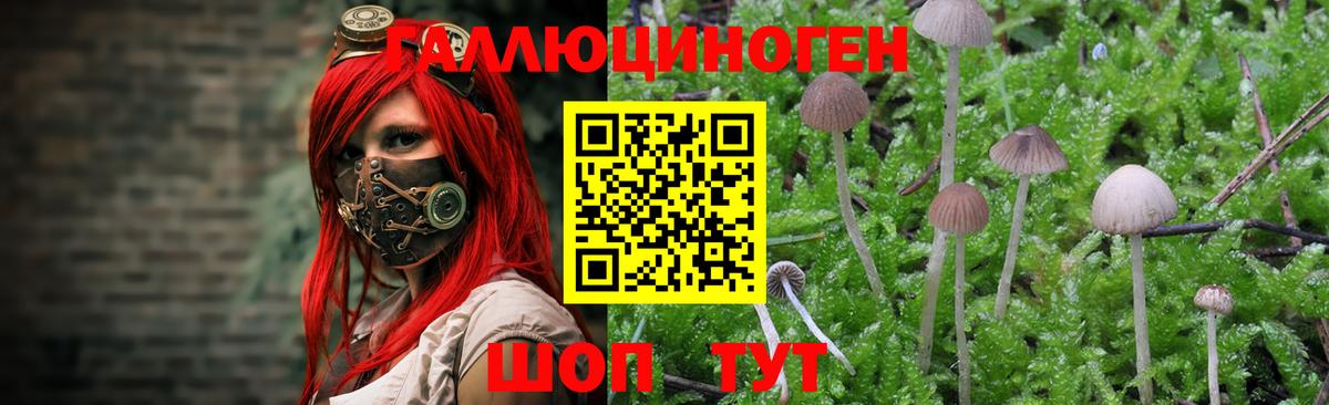 Оренбург  Галлюциногенные грибы MAGIC MUSHROOMS  Вход с VPN 